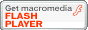 Flash Player_E[h