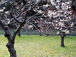 20120319_ph01.jpg