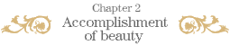 Chapter 2: Accomplishment of beauty