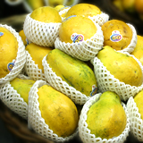 �n���C�Y�@�p�p�C���@�ʐ^