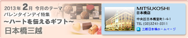 2013�N2���̃e�[�}�u�o�����^�C���f�C���W�@�`�n�[�g��`����M�t�g�`�v���{���O�z