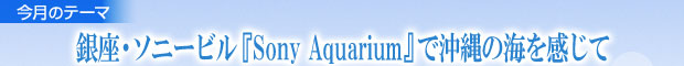 E\j[rwSony Aquariumxŉ̊C