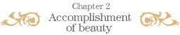 Chapter 2: Accomplishment of beauty 